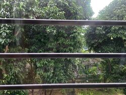 Lower Delta Road (D3), Condominium #518823051